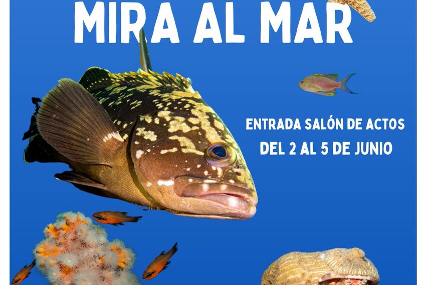 La Salle mira al mar